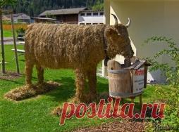 Бычок - соломенный бочок) - Садоводка