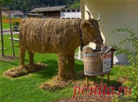 Бычок - соломенный бочок) - Садоводка