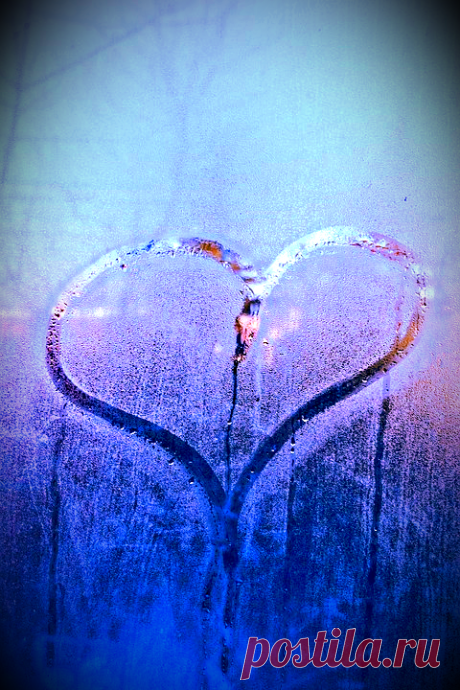 Боитесь влюбиться и снова ошибиться? -  Психология  - Информационно - развлекательный портал.