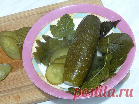 Засолка вкусных огурчиков с горчицей | Наталья Горбачёва -рецепты | Яндекс Дзен