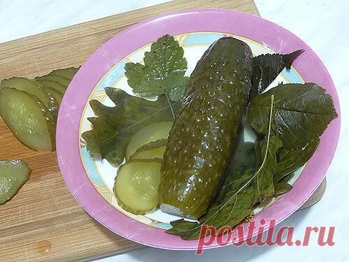 Засолка вкусных огурчиков с горчицей | Наталья Горбачёва -рецепты | Яндекс Дзен