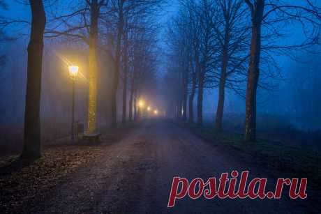 Misty evening | Ulrich Jakobsson | Flickr