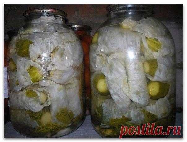 Дневник Тибати