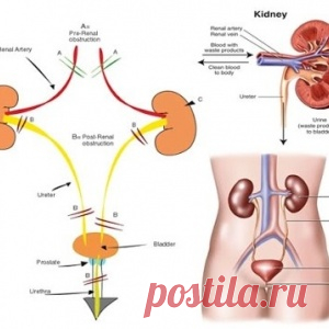 Новости - МирТесен