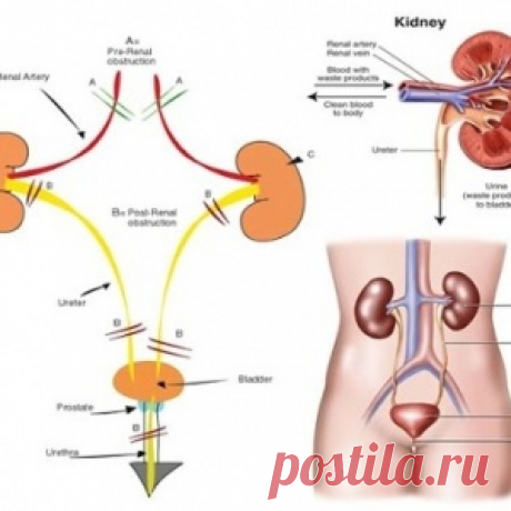 Новости - МирТесен