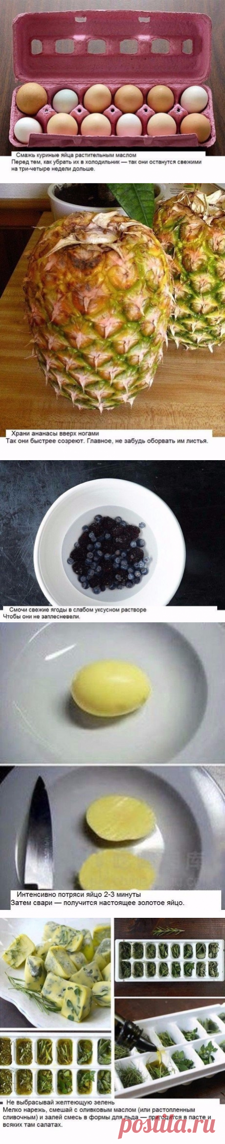 полезные советы