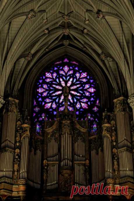 St. Patrick’s Cathedral, New York City.  
Petit Cabinet de Curiosites из Petit Cabinet de Curiosite   |  Pinterest • Всемирный каталог идей