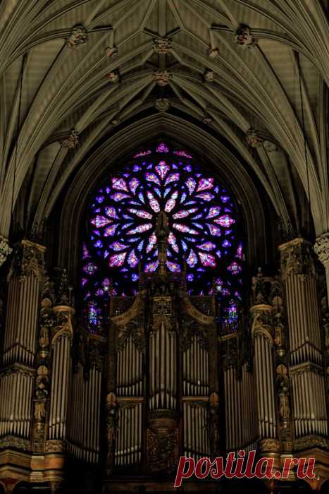 St. Patrick’s Cathedral, New York City.  
Petit Cabinet de Curiosites из Petit Cabinet de Curiosite   |  Pinterest • Всемирный каталог идей