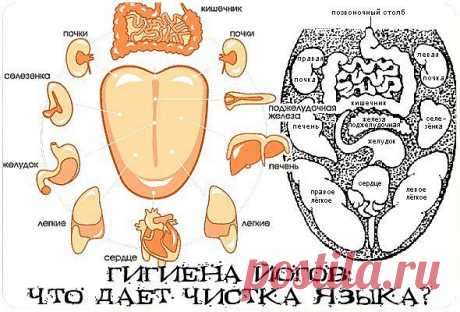 Зачем нужна чистка языка.