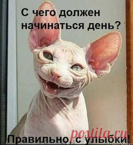 Юмор&gt;Братья наши меньшие,,,,,,