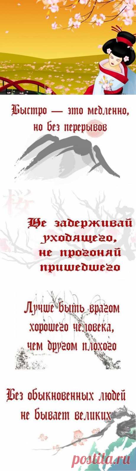 Японской мудрости пост. — Всегда в форме!