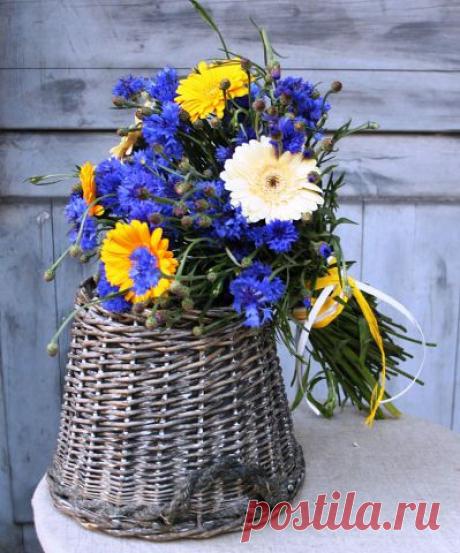 БУКЕТЫ ИЗ КОНФЕТ РЕКВИЗИТ ДЛЯ ФОТОСЕССИЙ
38 лет, Украина, Киев