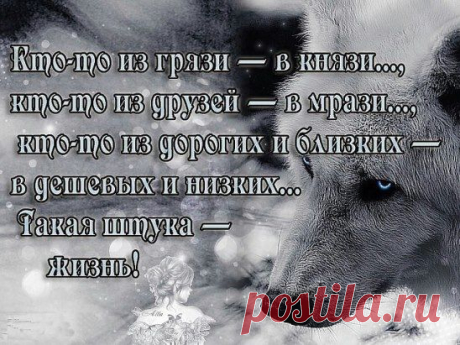 (62) Одноклассники