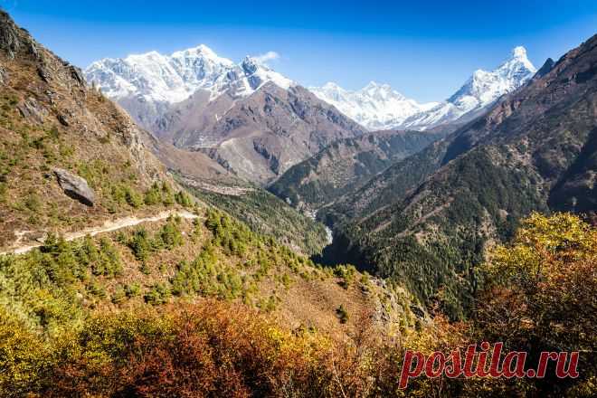 GISMETEO.RU: За заповедником Джомолунгма будут круглосуточно следить видеокамеры | Климат | Новости погоды.