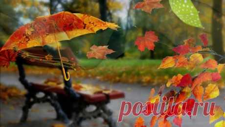 🍁Осень - не грусть.🍂Осень - радость !🍁🍂