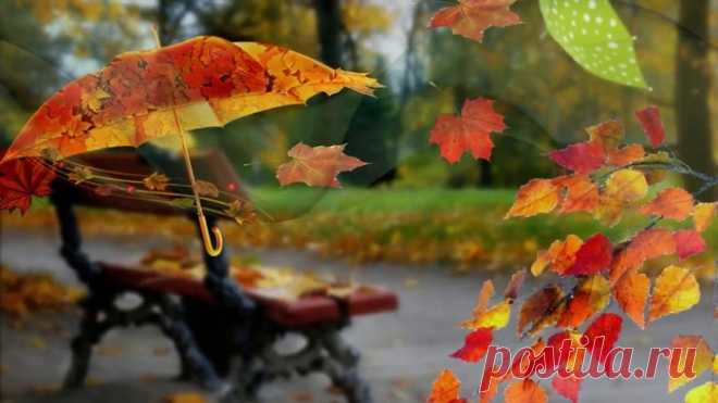 🍁Осень - не грусть.🍂Осень - радость !🍁🍂