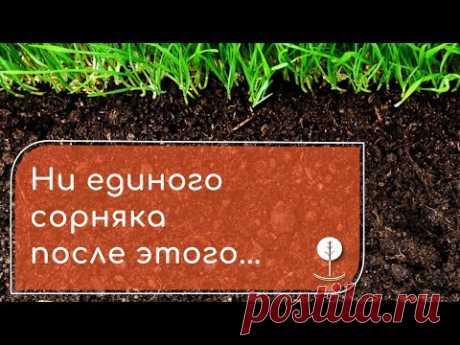 Как уничтожить сорняки? - НАПАЛМ ЗНАЕТ!