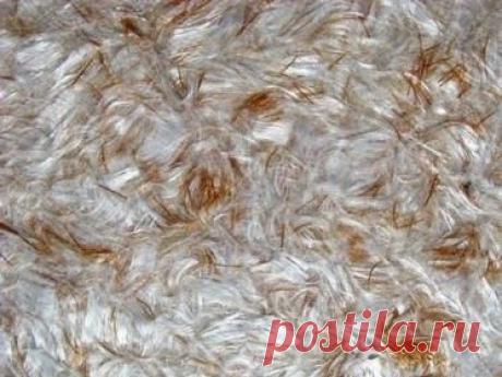 Отделка потолка жидкими обоями