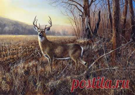 Jim Hansel Editions, LLC. Bluff Country Buck