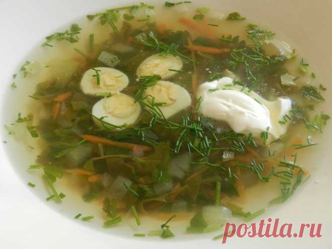 Сезонный рецепт: нежнейшие щи из крапивы и щавеля — Вкусные рецепты