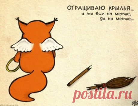 Крошка Ши (Часть 2)
