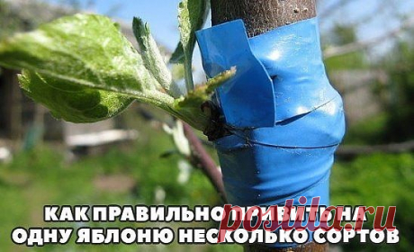 2 непрочитанных чата