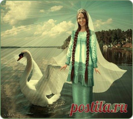 (1) Одноклассники