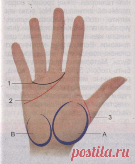 ЗНАКИ ЛЮБВИ НА ЛАДОНИ