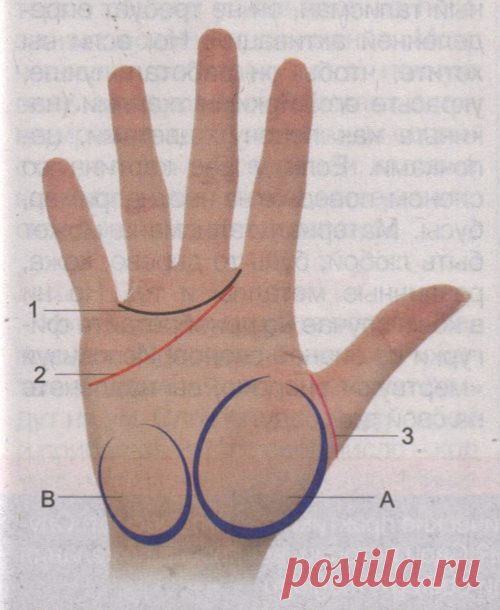 ЗНАКИ ЛЮБВИ НА ЛАДОНИ