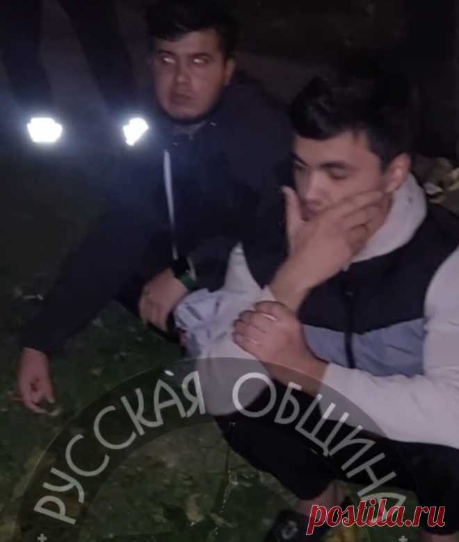 Приезжие хотели быкануть, но получили мощный отпор «Русской общины» | # Чернильница | Дзен