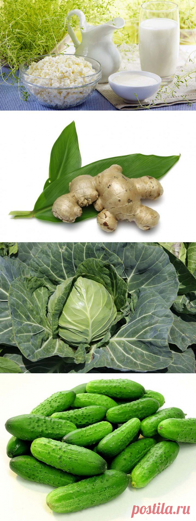Продукты, сжигающие жиры и регулирующие обмен веществ .