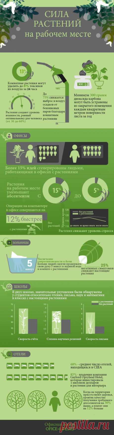 Сила растений на рабочем месте