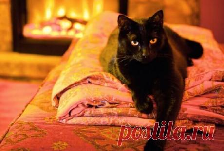 Энергетика дома: какие вещи «добрые», а какие — «злые» С течением времени наше жилище постепенно заполняется разнообразными вещами: предметами интерьера, бытовыми приборами и мебелью. В прошлом веке люди более внимательно относились к выбору предметов меблировки и декора: знали из чего должна быть сделана та или иная вещь, где должна стоять и какую энергию в себе несет.