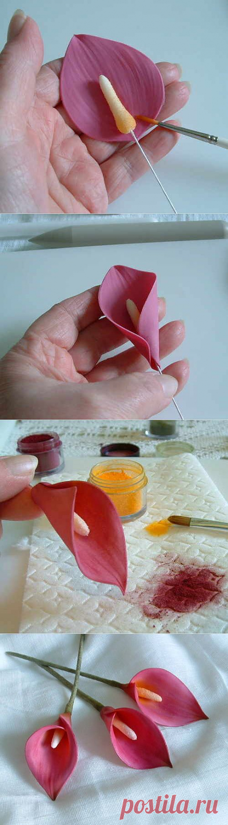 Sugar flower tutorial
