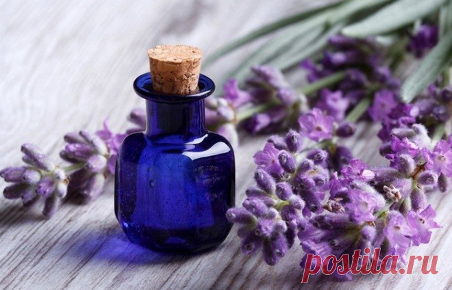 Эфирные масла для спокойного сна / Все для женщины