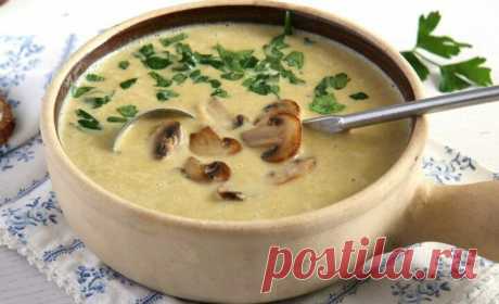 Суп-пюре из шампиньонов и курицы, с плавленным сыром незаменим при правильном питании. Классический, диетический супчик низкокалорийный, но хорошо насыщает.