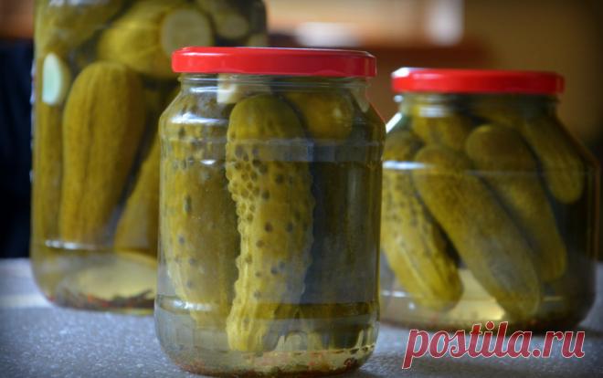 Aštrūs agurkai, marinuoti pagal bulgarišką receptą Šiuo receptu gaminti agurkai yra ypatingi – didelis kiekis cukraus, užgesintas actu, čili pipirai – nuostabus derinys, jei nebijote didelio kiekio konservantų ir mėgstate vadinamą “bulgarišką” marinuotų agurkų skonį.