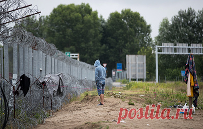 €20 тыс. за мигранта. Что сулит беженцам новый план Евросоюза. Иван Лебедев — о том, почему Венгрия и Польша выступили против "Миграционного пакта" ЕС, который Виктор Орбан сравнил с госпереворотом