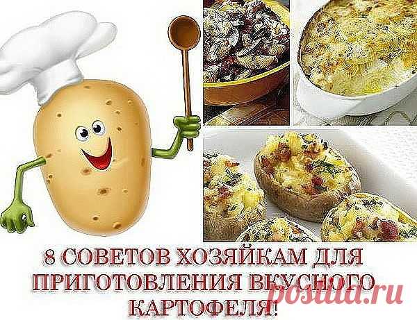 Сохрани себе на страницу!
1. Отварной картофель будет вкуснее, если добавить в воду 3–4 зубчика чеснока, луковицу или немного укропа.
2. Картофель быстрее сварится, если в воду добавить ложку маргарина.
3. Чтобы на старом картофеле при варке не появились синие пятна, в воду нужно добавить немного уксуса.
4. Молодой картофель легко очистится, если предварительно опустить его в холодную воду.
5. Картофель жарят на предварительно разогретой сковороде и сильном огне, потом его...