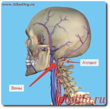 ✔  ПОДВЫВИХ АТЛАНТА

Смещение первого шейного позвонка или подвывих атланта, встречается более чем у 95% людей. 
Смещаясь атлант пережимает и ухудшает кровоток к головному мозгу, что является причиной многих болезней. 

В центре позвоночника Атлас-Эффект совершенно безопасным образом устраняют этот подвывих. 

*** 
Консультация и диагностика предоставляется бесплатно.
Запись и справки по телефонам в Москве +7 (906) 748-20-60; 8-925-718-09-07.