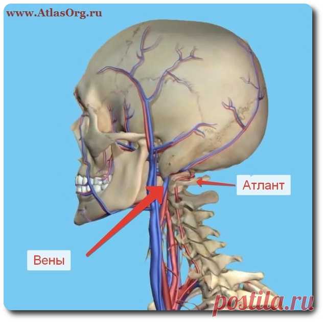 ✔  ПОДВЫВИХ АТЛАНТА

Смещение первого шейного позвонка или подвывих атланта, встречается более чем у 95% людей. 
Смещаясь атлант пережимает и ухудшает кровоток к головному мозгу, что является причиной многих болезней. 

В центре позвоночника Атлас-Эффект совершенно безопасным образом устраняют этот подвывих. 

*** 
Консультация и диагностика предоставляется бесплатно.
Запись и справки по телефонам в Москве +7 (906) 748-20-60; 8-925-718-09-07.