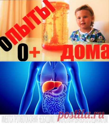 (62) Одноклассники
