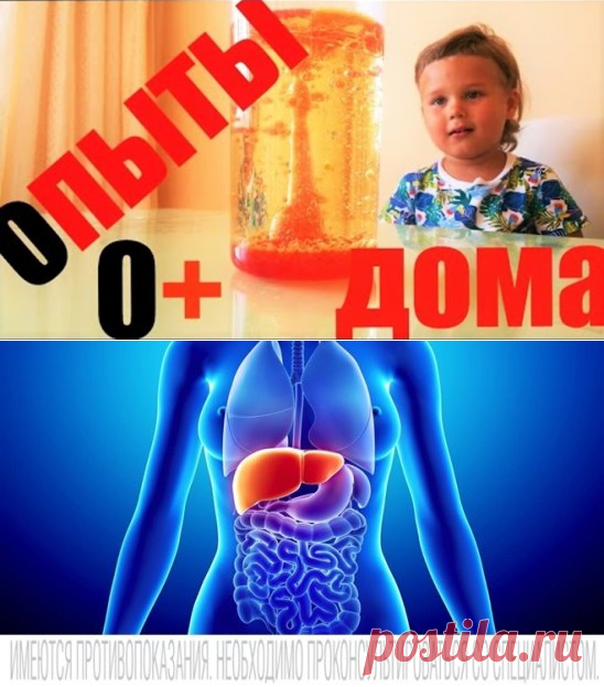(62) Одноклассники