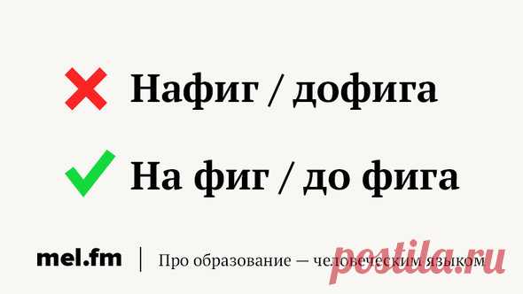 9 разговорных слов, которые слишком часто пишут неправильно | Мел
