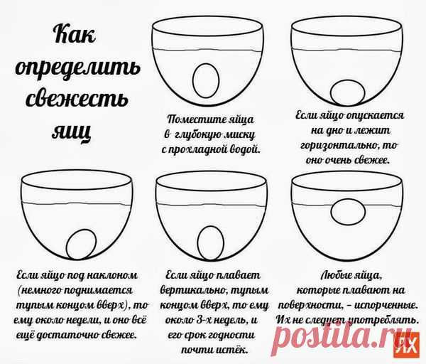 Как определить свежесть яиц?