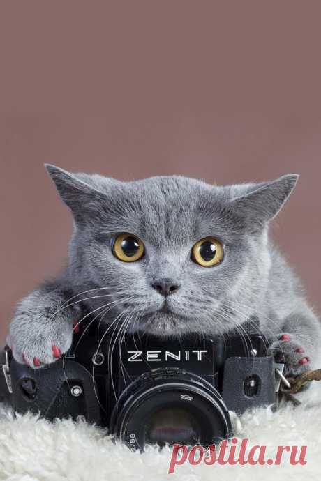 Say cheese!