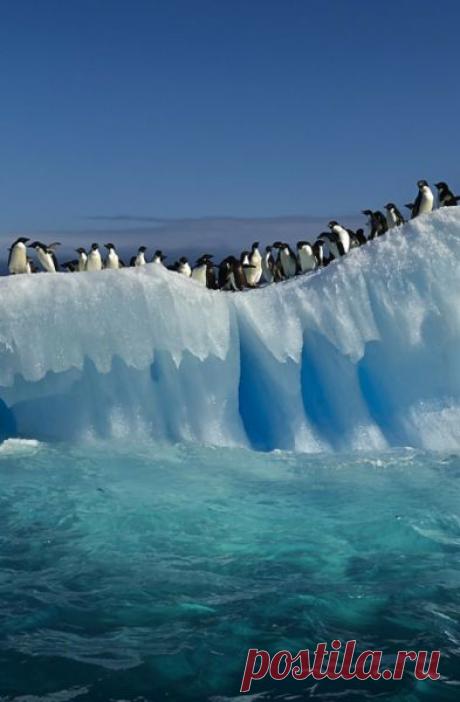 mistymorrning:
“https://imgfave.com
”
N