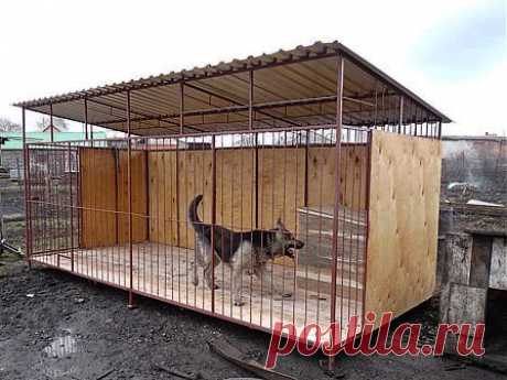 Вольер для собаки: строим жилье для питомца своими руками
