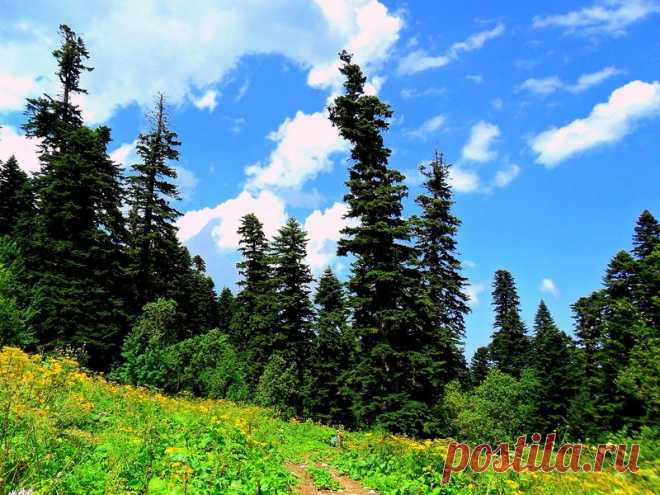 Человек с фотоаппаратом, в жаркий день - 6 Ноября 2015 - Персональный сайт