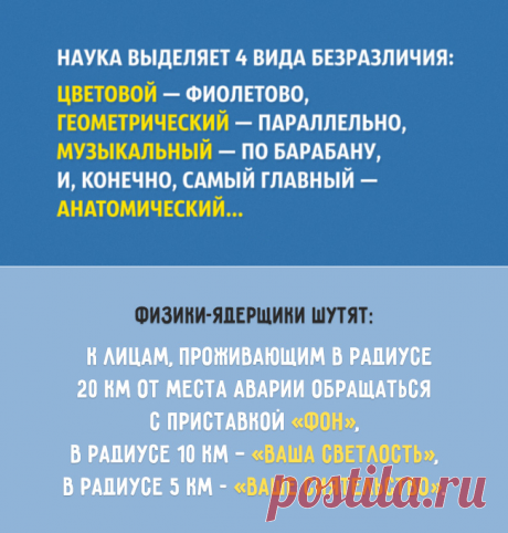 О чем шутят учёные
